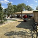 Классный Серпуховский пляж на Оке – 20 минут от Заокского !