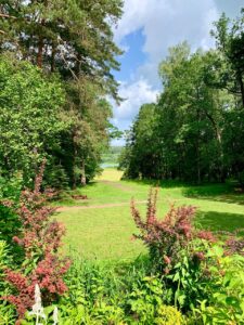 Поленово - фотопрогулка с Викторией 02.07.2023